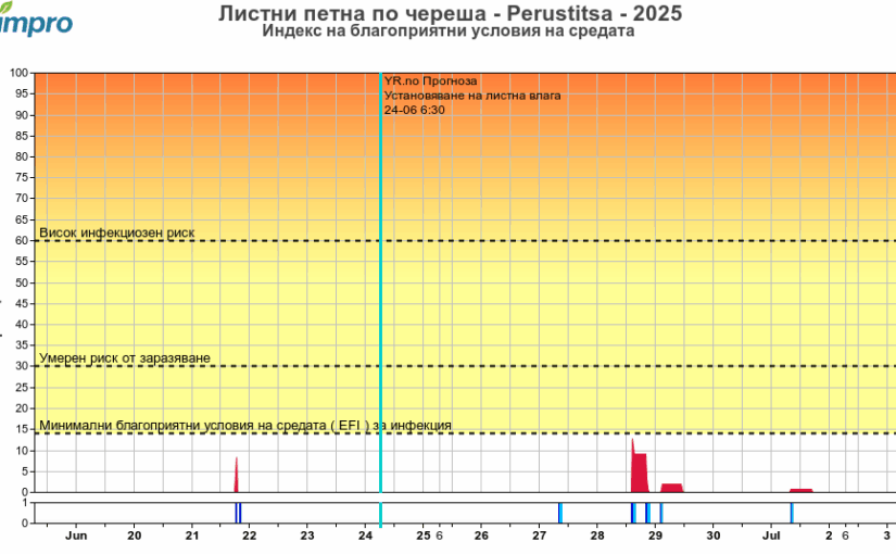 Агро – метеорологична обстановка 2025.06.24