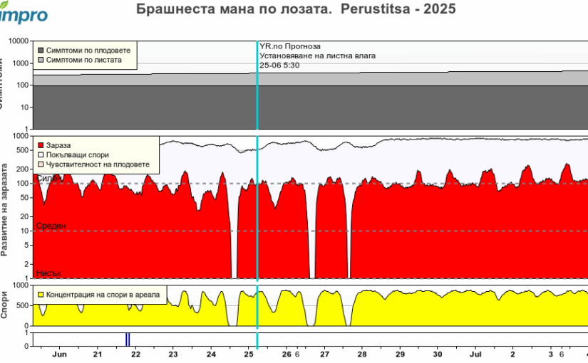 Агро – метеорологична обстановка 2025.06.25