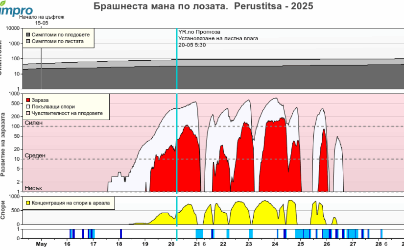 Агро – метеорологична обстановка 2025.05.20