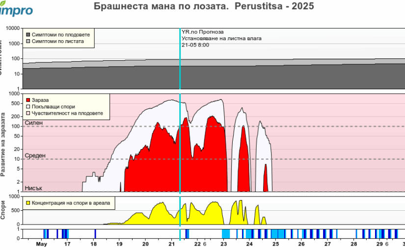 Агро – метеорологична обстановка 2025.05.21